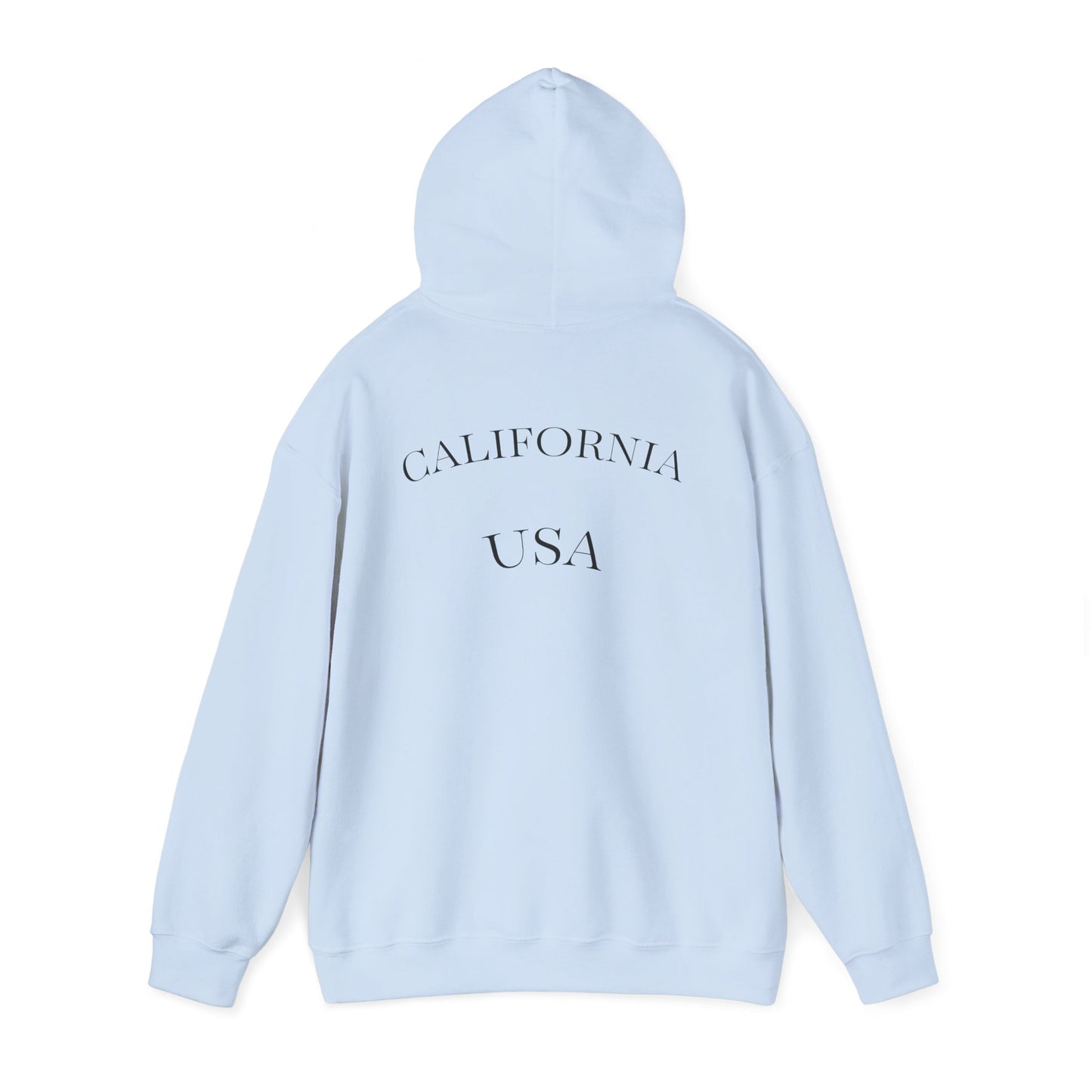 Playful Corgi Sweatshirt, Cozy Hoodie, Dog Lover Gift, Cute Pet Apparel, California Style, Sunglasses Dog Design