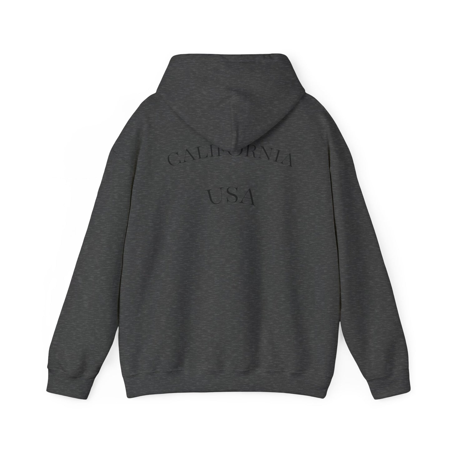 Playful Corgi Sweatshirt, Cozy Hoodie, Dog Lover Gift, Cute Pet Apparel, California Style, Sunglasses Dog Design