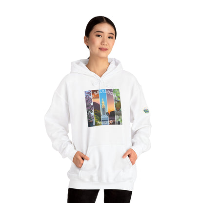 El Salvador Graphic Hoodie - Cozy Unisex Sweatshirt for Travel Lovers, Gift for Friends, Casual Wear, Holiday Apparel