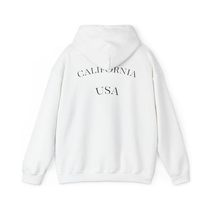 Playful Corgi Sweatshirt, Cozy Hoodie, Dog Lover Gift, Cute Pet Apparel, California Style, Sunglasses Dog Design