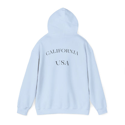Playful Corgi Sweatshirt, Cozy Hoodie, Dog Lover Gift, Cute Pet Apparel, California Style, Sunglasses Dog Design