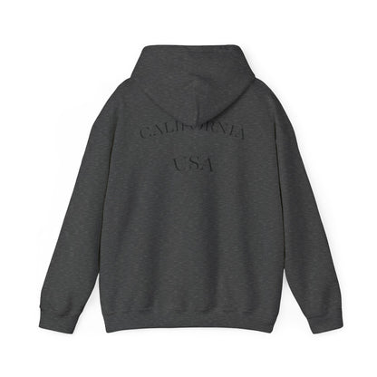 Playful Corgi Sweatshirt, Cozy Hoodie, Dog Lover Gift, Cute Pet Apparel, California Style, Sunglasses Dog Design